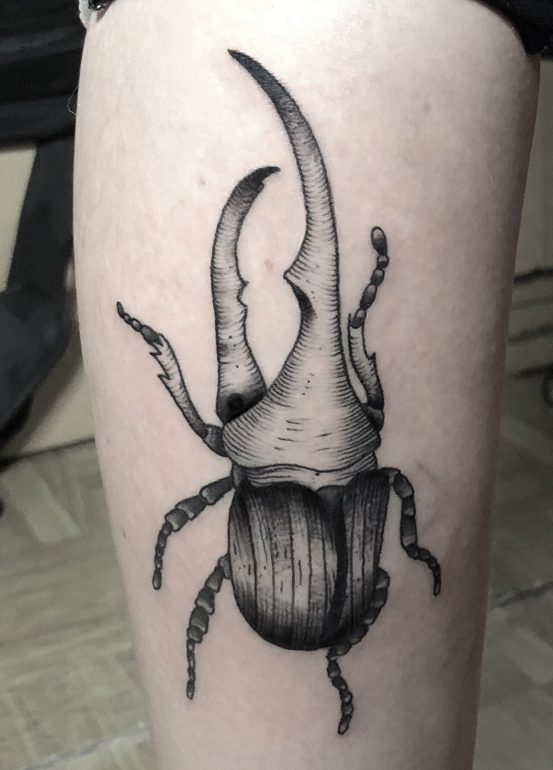 Blackwork tattoo escarabajo
