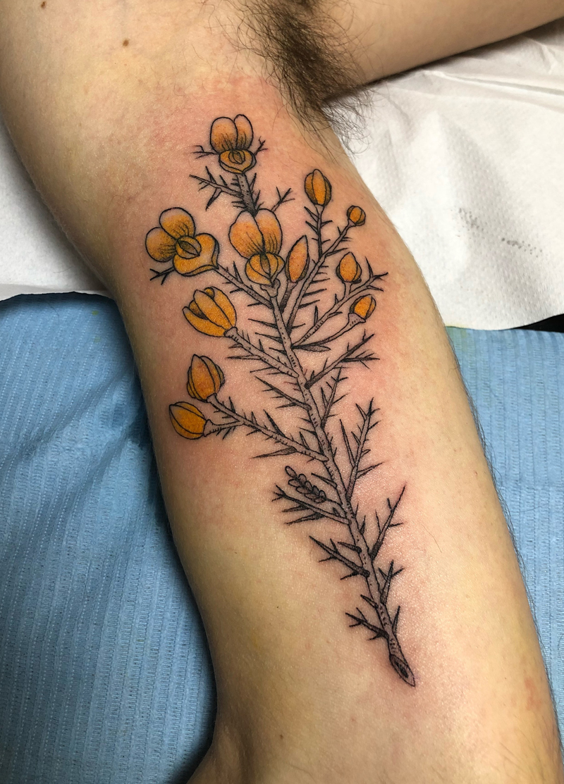 Tatuaje color flores de tojo